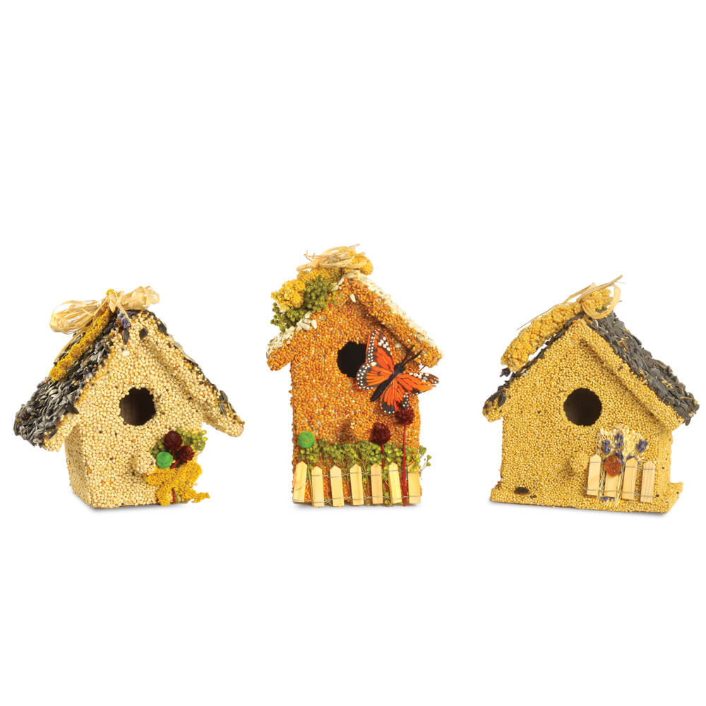 Cottage Bird House